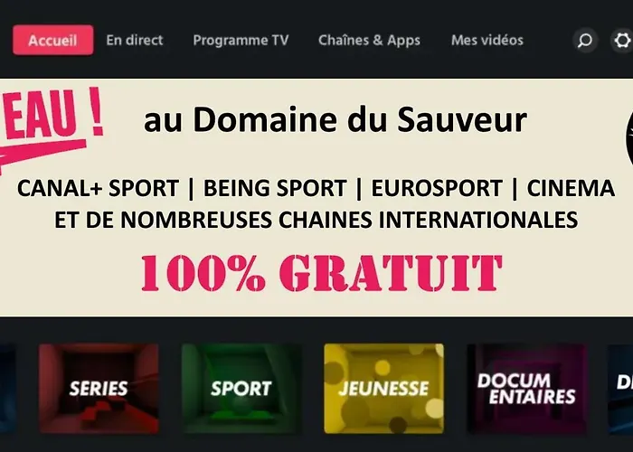 Domaine Du Sauveur Люс-Сен-Совёр