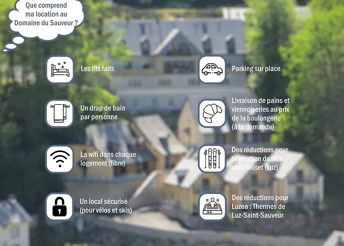 Domaine Du Sauveur *