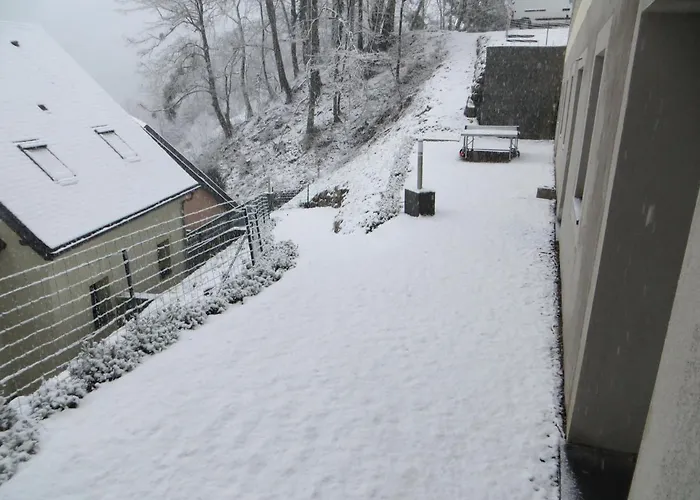 Domaine Du Sauveur Люс-Сен-Совёр