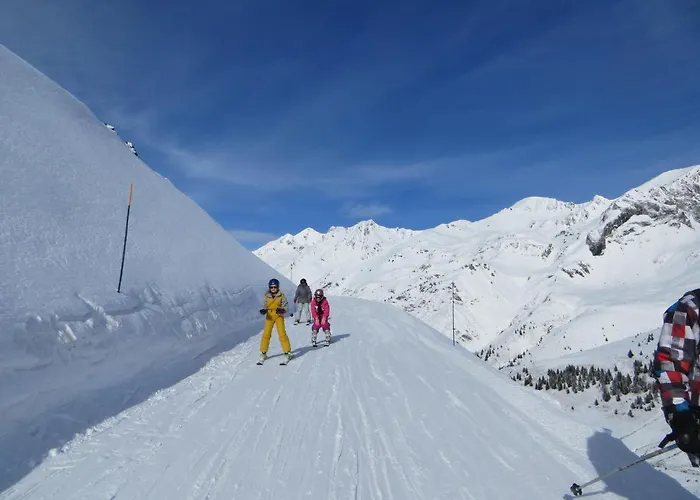 Domaine Du Sauveur Διαμέρισμα Luz-Saint-Sauveur